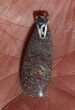 Agatized Dinosaur Bone (Gembone) Pendant #54077-3